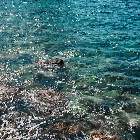 Madeira Regency Club 酒店 丰沙尔