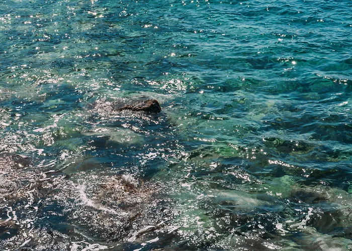 Madeira Regency Club 酒店 丰沙尔